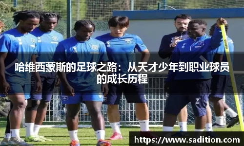 球速体育官方网站